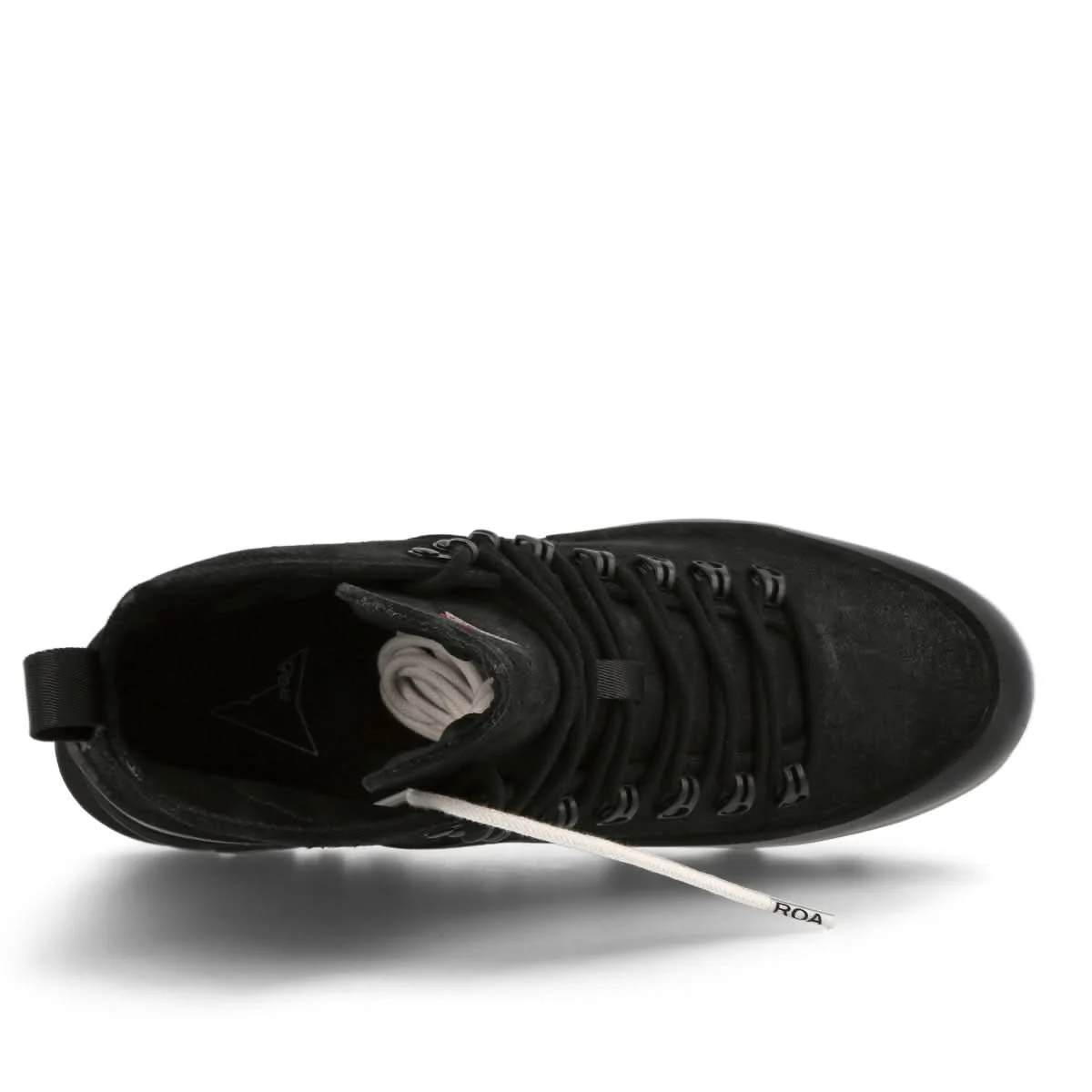 CVO - Image 5