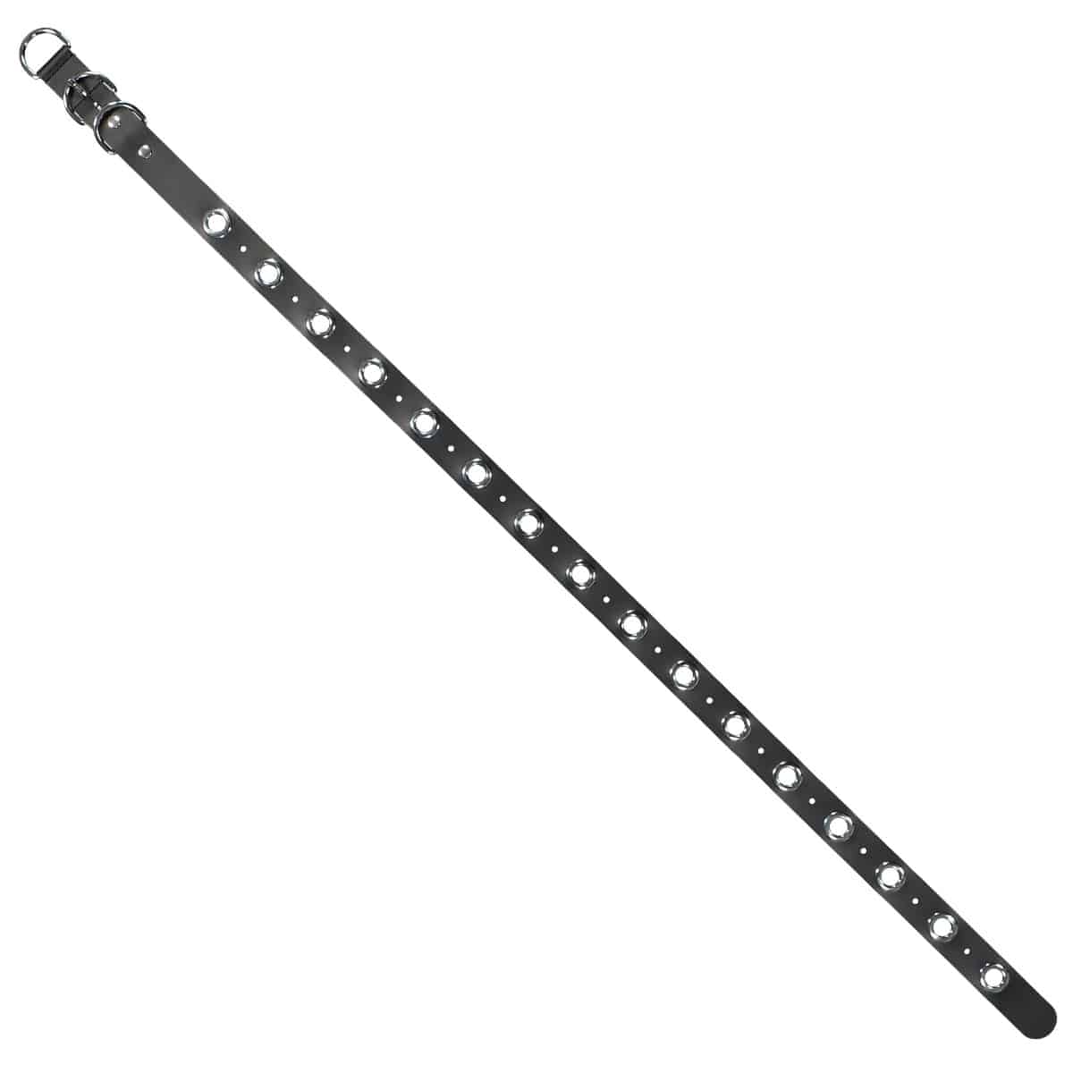 Eyelet Belt - Image 5
