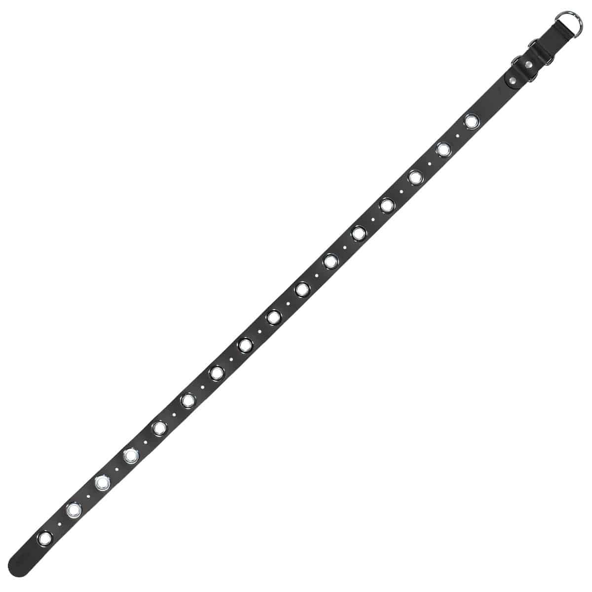 Eyelet Belt - Image 6