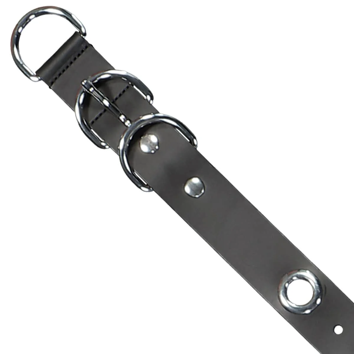 Eyelet Belt - Image 7