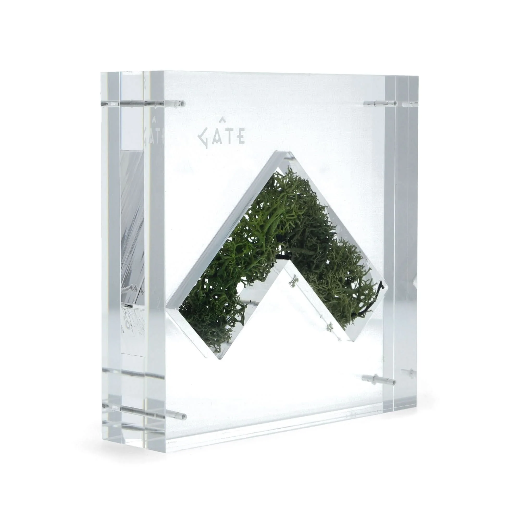 Nature Capsule