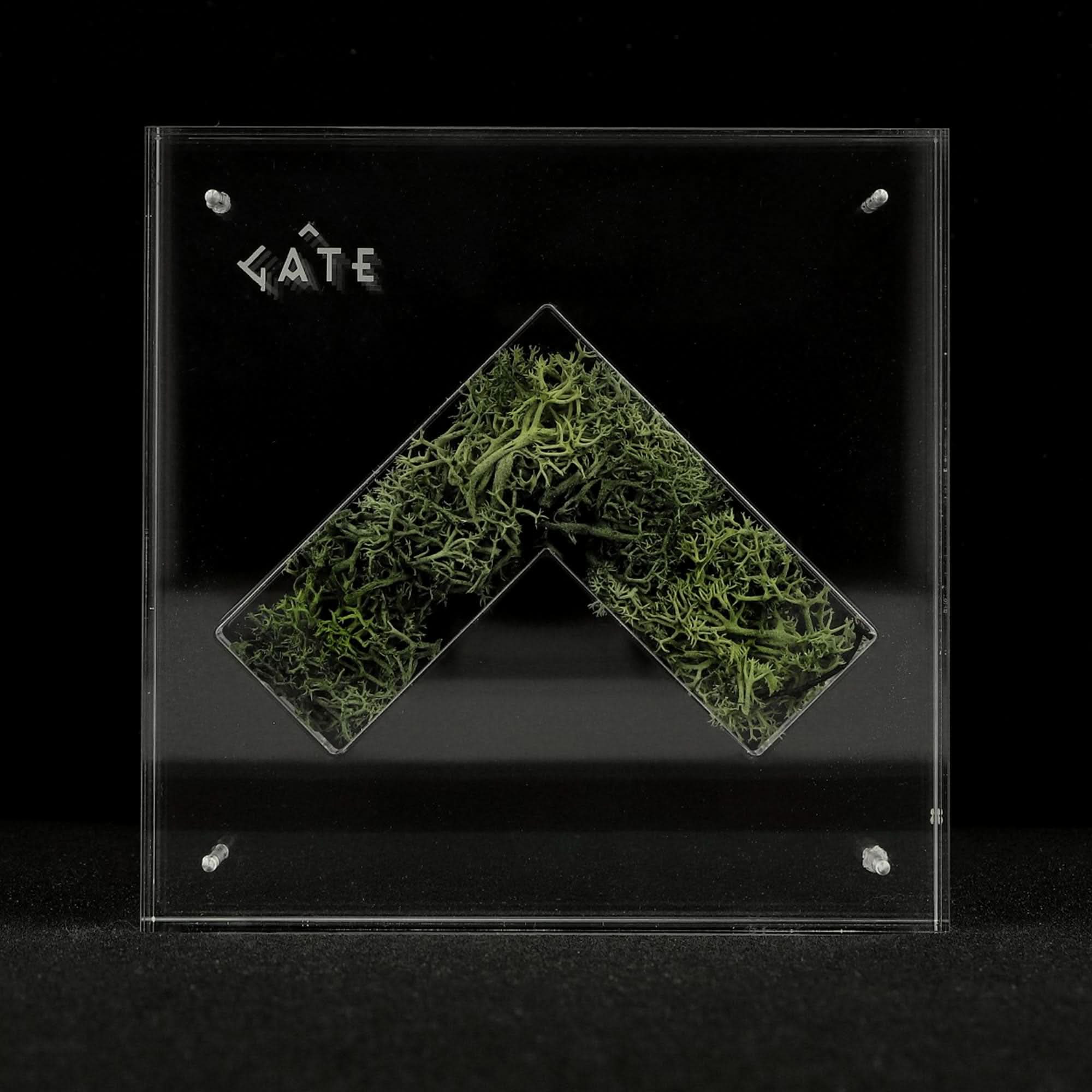 Nature Capsule - Image 2
