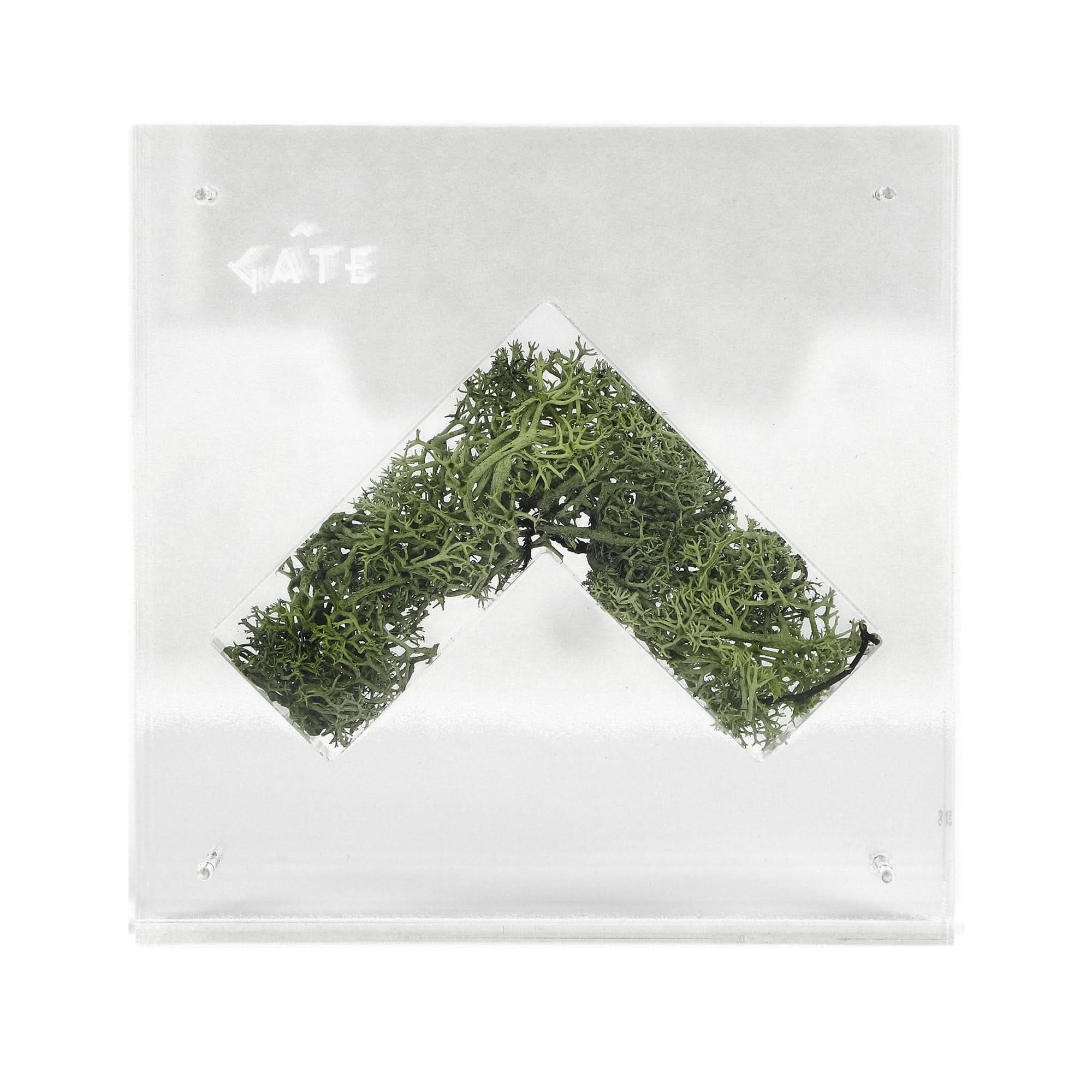 Nature Capsule - Image 3