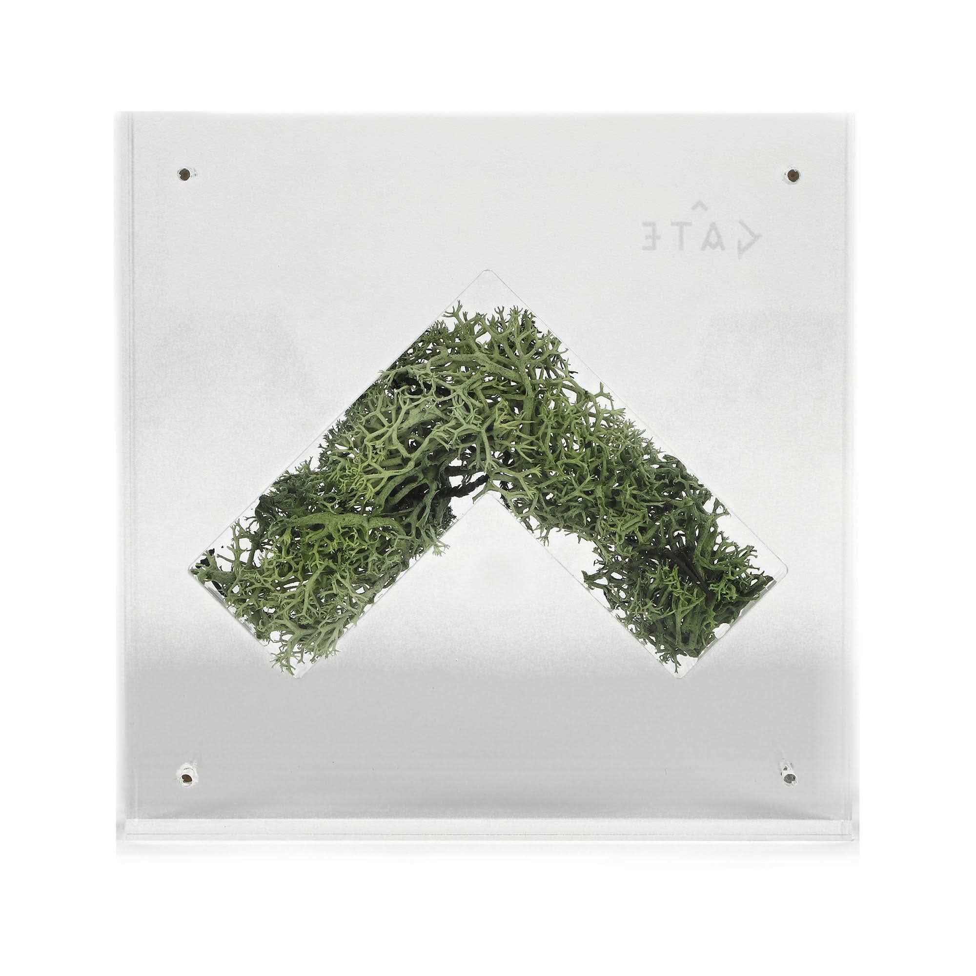 Nature Capsule - Image 4