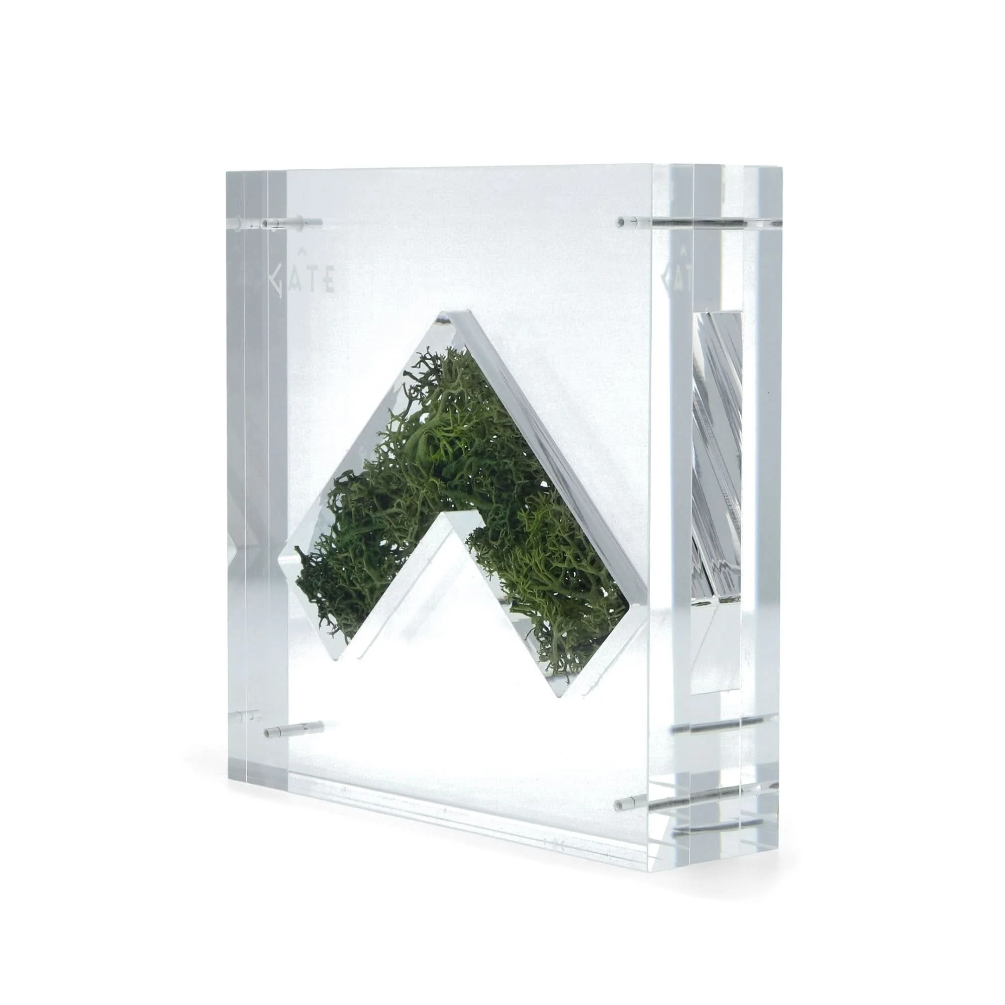 Nature Capsule - Image 5