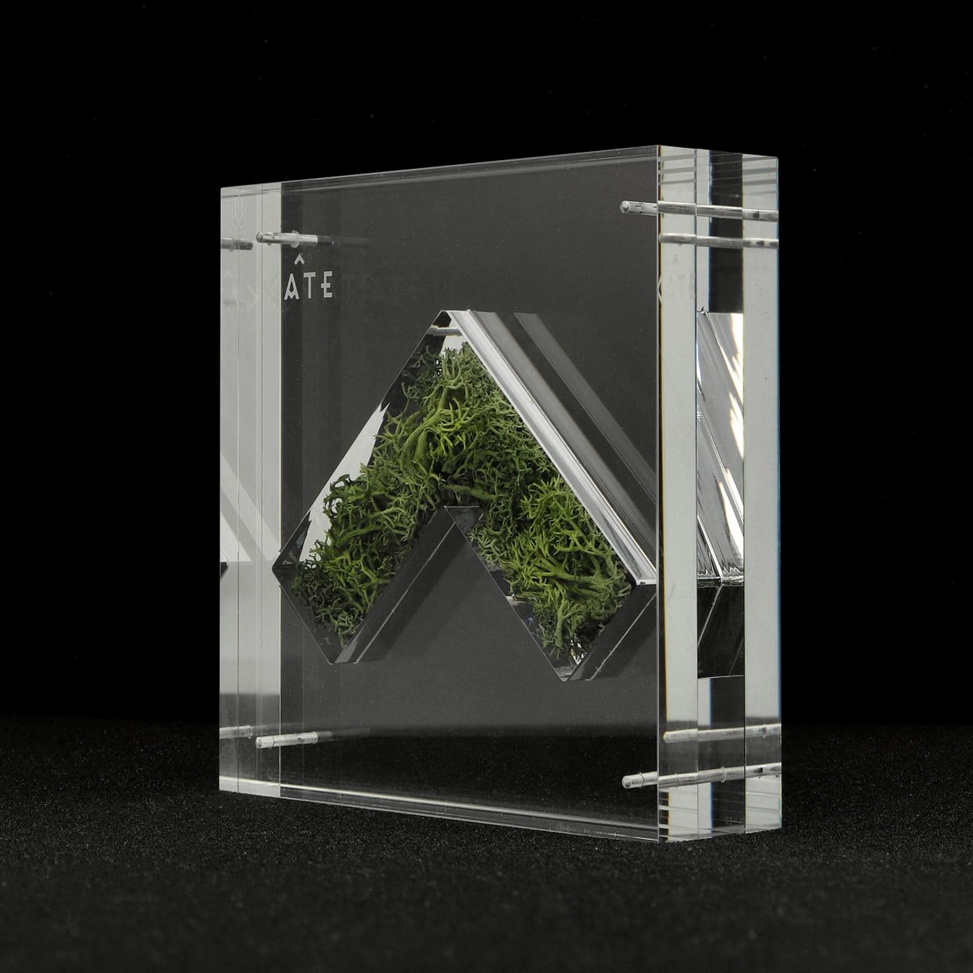 Nature Capsule - Image 6