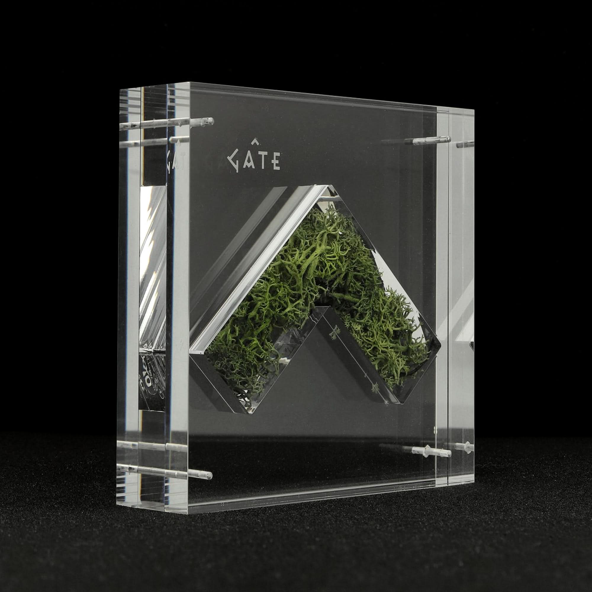 Nature Capsule - Image 7