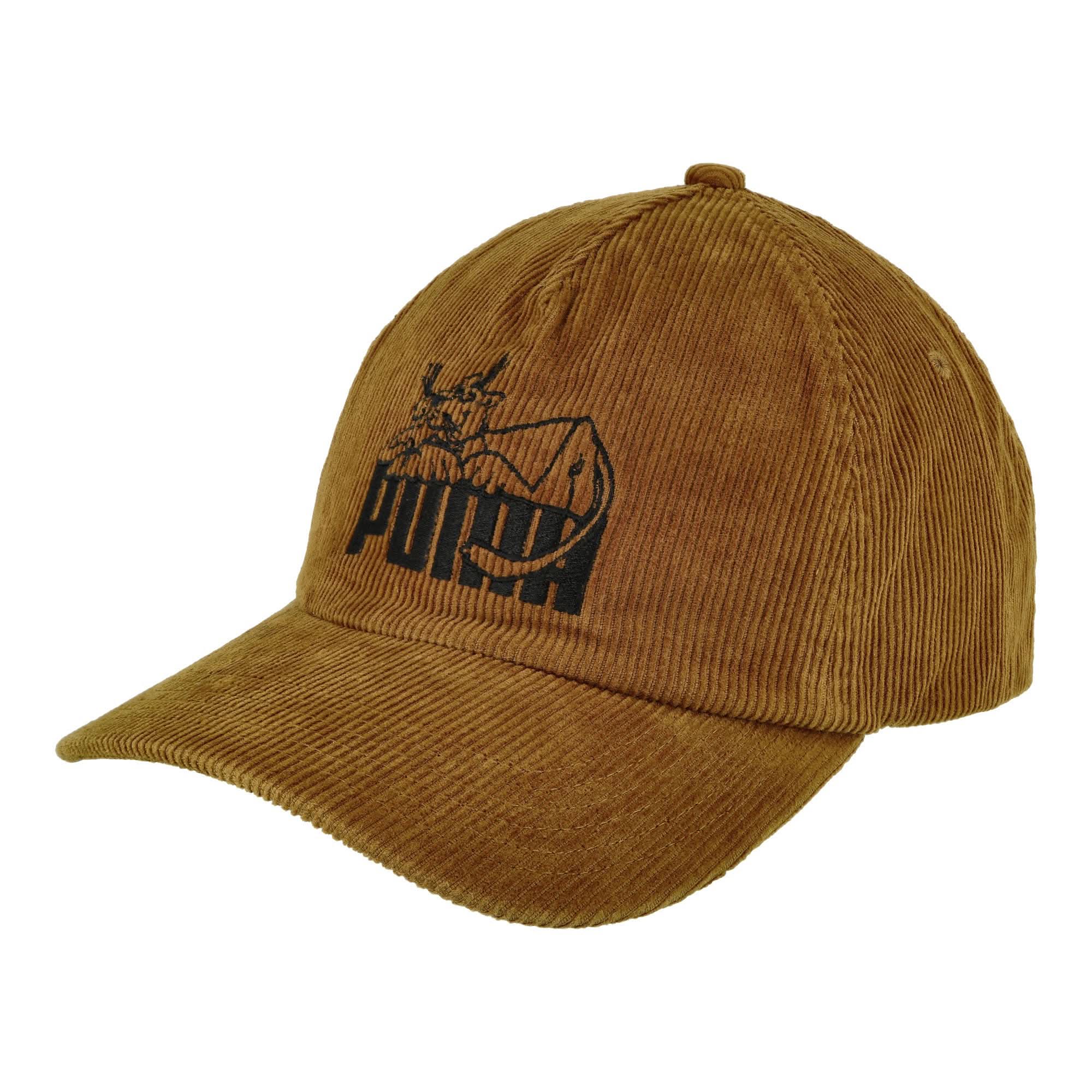 5 Panel Cap